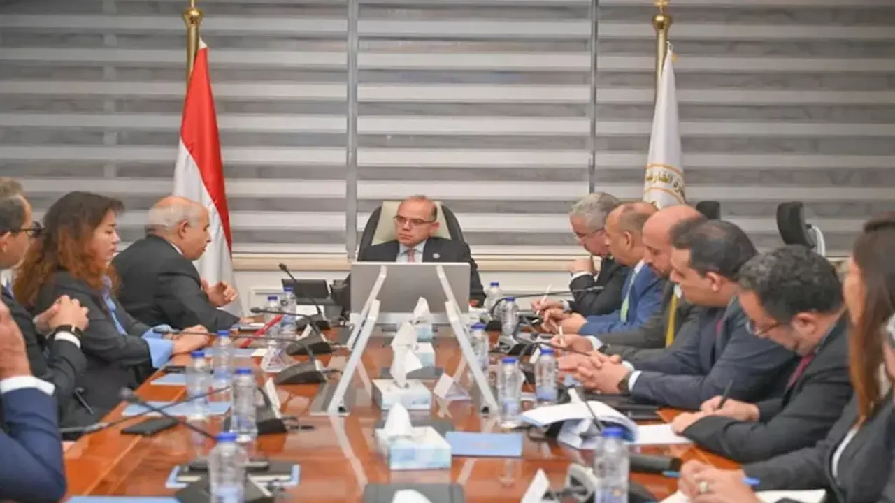 استثمارات صينية بـ 2 مليار دولار لإنشاء مشروع إطارات ضخم في مصر